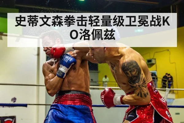 史蒂文森拳击轻量级卫冕战KO洛佩兹