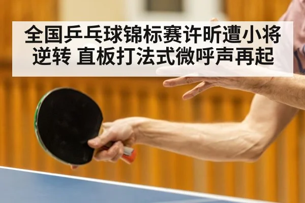 全国乒乓球锦标赛许昕遭小将逆转 直板打法式微呼声再起